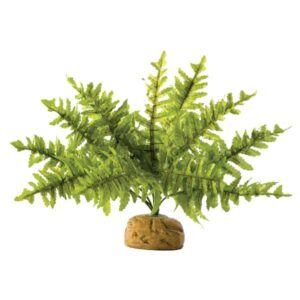 Exo Terra Boston Fern - Small