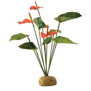 Exo Terra Anthurium Bush