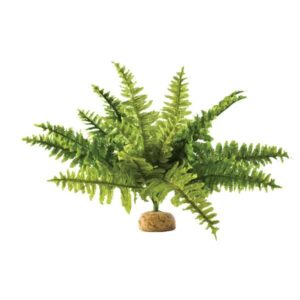 Exo Terra Boston Fern - Medium