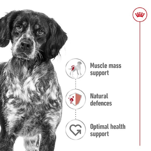 Royal Canin Medium Adult 15kg Dry Dog Food 2 Royal Canin Medium Adult 15kg Dry Dog Food - Image 2