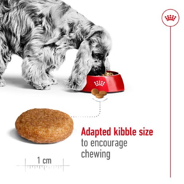 Royal Canin Medium Adult 15kg Dry Dog Food 3 Royal Canin Medium Adult 15kg Dry Dog Food - Image 3