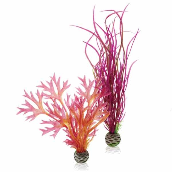 biOrb Plant Set Red & Pink Medium 2 Pack 1 biOrb Plant Set Red & Pink Medium 2 Pack