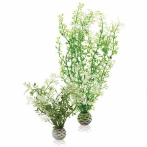 biOrb Winter Flower 2 Pack