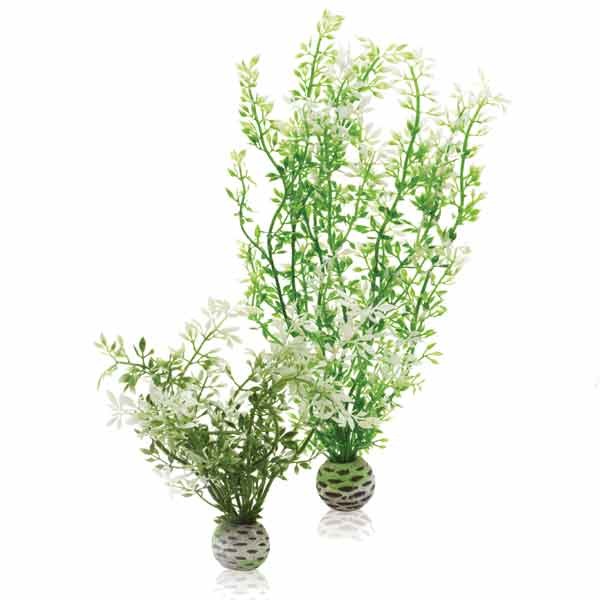 biOrb Winter Flower 2 Pack 1 biOrb Winter Flower 2 Pack
