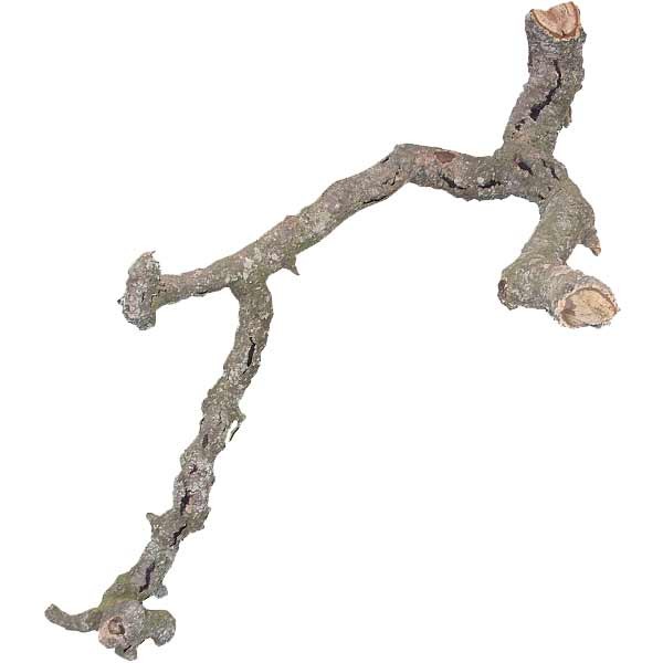 Lucky Reptile Tronchos Cork Oak Branch 60-90cm 3 Lucky Reptile Tronchos Cork Oak Branch 60-90cm - Image 3