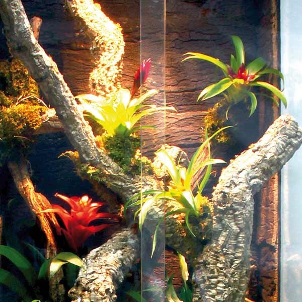 Lucky Reptile Tronchos Cork Oak Branch 60-90cm 4 Lucky Reptile Tronchos Cork Oak Branch 60-90cm - Image 4