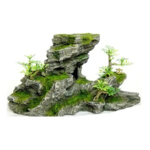 Betta C-Shape Rock Formation W/Pla nt