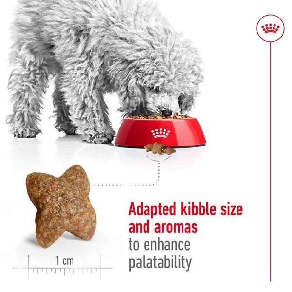 Royal Canin Mini Adult 2kg Dry Dog Food 3 Royal Canin Mini Adult 2kg Dry Dog Food - Image 3
