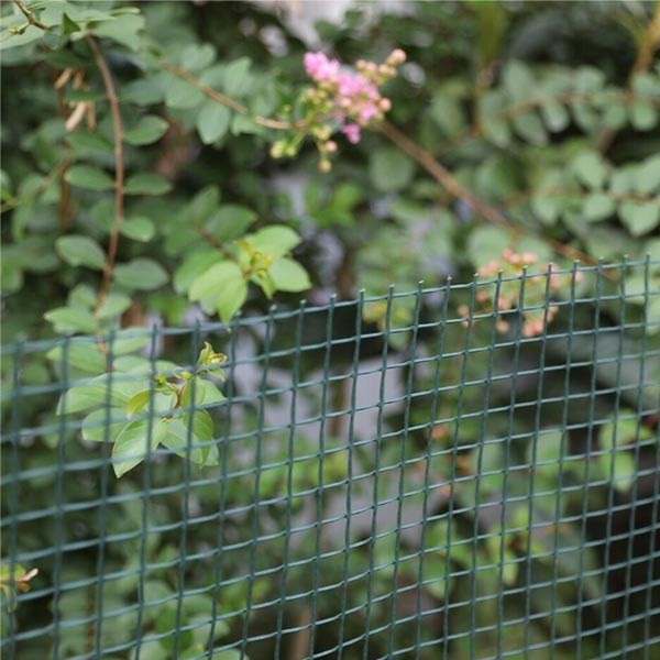 Gardman Garden & Plant Mesh Green 5mx1m 50mm 3 Gardman Garden & Plant Mesh Green 5mx1m 50mm - Image 3