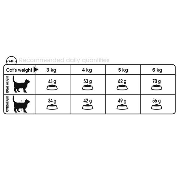 Royal Canin Digestive Care Adult 2kg Dry Cat Food 3 Royal Canin Digestive Care Adult 2kg Dry Cat Food - Image 3