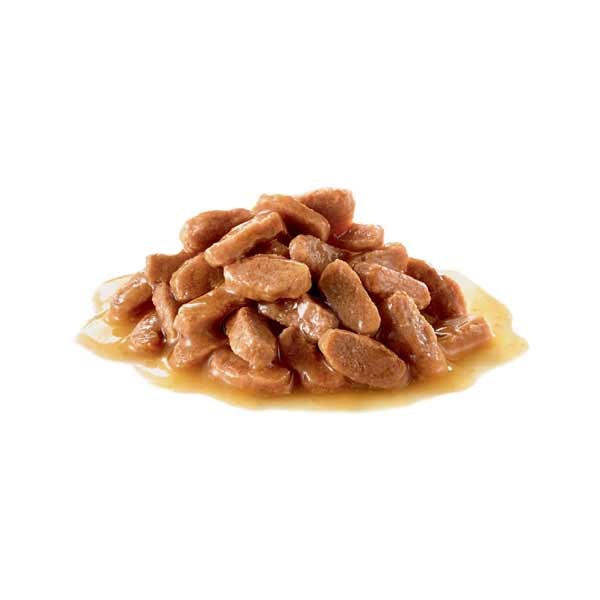 Royal Canin Kitten 1x85g Wet Cat Food 2 Royal Canin Kitten 1x85g Wet Cat Food - Image 2