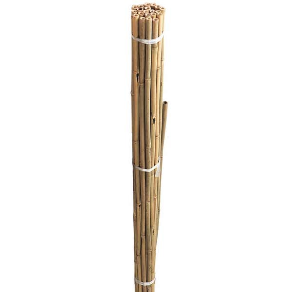Grow It Bamboo Canes Pre-Bulk 60cm 20 Pack 1 Grow It Bamboo Canes Pre-Bulk 60cm 20 Pack