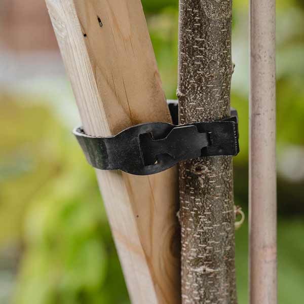 Gardman Heavy Duty Tree Tie 40cm 3 Gardman Heavy Duty Tree Tie 40cm - Image 3