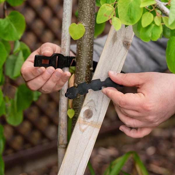 Gardman Heavy Duty Tree Tie 60cm 2 Gardman Heavy Duty Tree Tie 60cm - Image 2