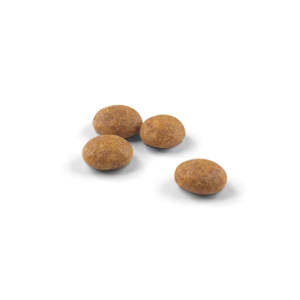Royal Canin Outdoor Adult 2kg Dry Cat Food 2 Royal Canin Outdoor Adult 2kg Dry Cat Food - Image 2