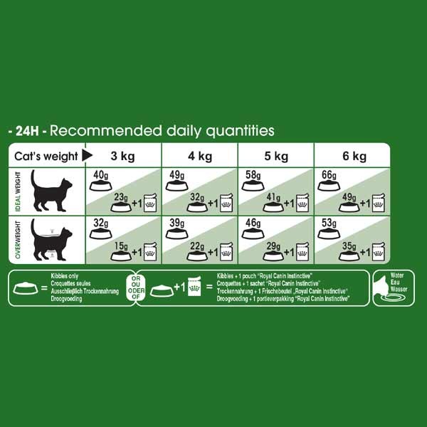 Royal Canin Outdoor Adult 2kg Dry Cat Food 3 Royal Canin Outdoor Adult 2kg Dry Cat Food - Image 3