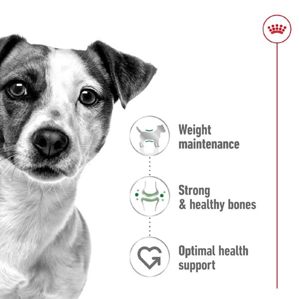 Royal Canin Mini Adult 8kg Dry Dog Food 2 Royal Canin Mini Adult 8kg Dry Dog Food - Image 2