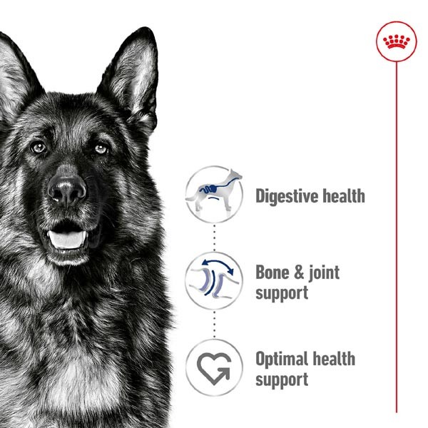 Royal Canin Maxi Adult 15kg Dry Dog Food 2 Royal Canin Maxi Adult 15kg Dry Dog Food - Image 2