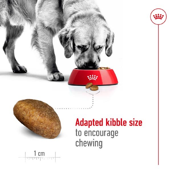 Royal Canin Maxi Adult 15kg Dry Dog Food 3 Royal Canin Maxi Adult 15kg Dry Dog Food - Image 3
