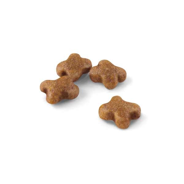 Royal Canin Kitten 400g Dry Cat Food 2 Royal Canin Kitten 400g Dry Cat Food - Image 2