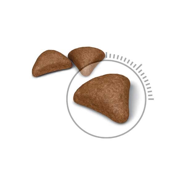 Royal Canin Hairball Care Adult 400g Dry Cat Food 2 Royal Canin Hairball Care Adult 400g Dry Cat Food - Image 2