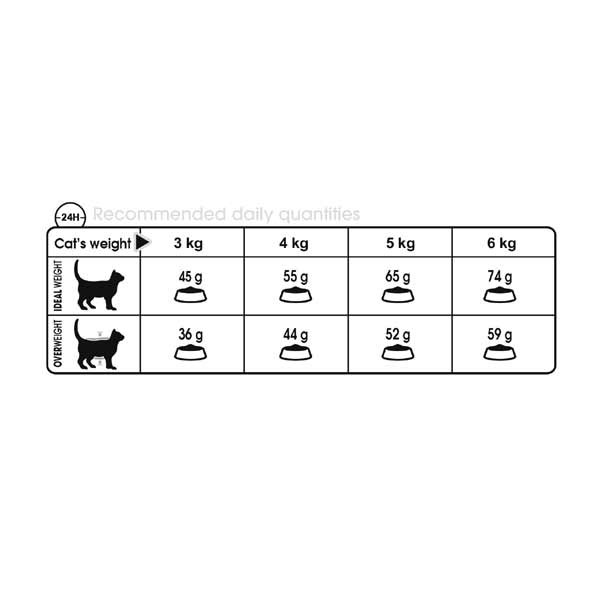 Royal Canin Hairball Care Adult 400g Dry Cat Food 3 Royal Canin Hairball Care Adult 400g Dry Cat Food - Image 3