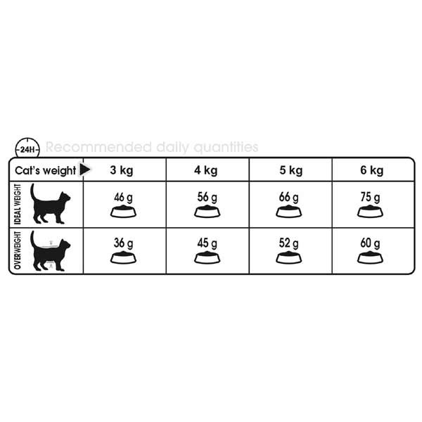 Royal Canin Oral Care Adult 1.5kg Dry Cat Food 3 Royal Canin Oral Care Adult 1.5kg Dry Cat Food - Image 3