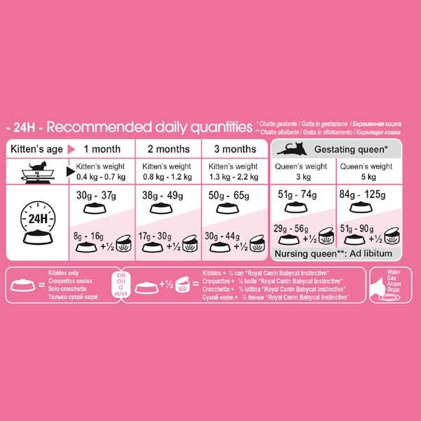 Royal Canin Mother & Babycat 2kg Dry Cat Food 3 Royal Canin Mother & Babycat 2kg Dry Cat Food - Image 3