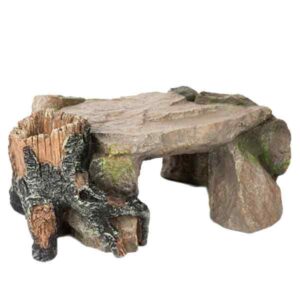 Betta Flintstone Cave