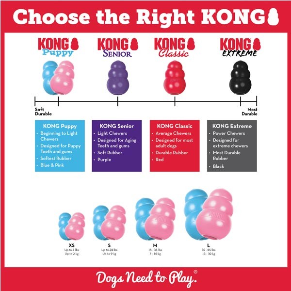 KONG Puppy Medium Dog Toy 2 KONG Puppy Medium Dog Toy - Image 2