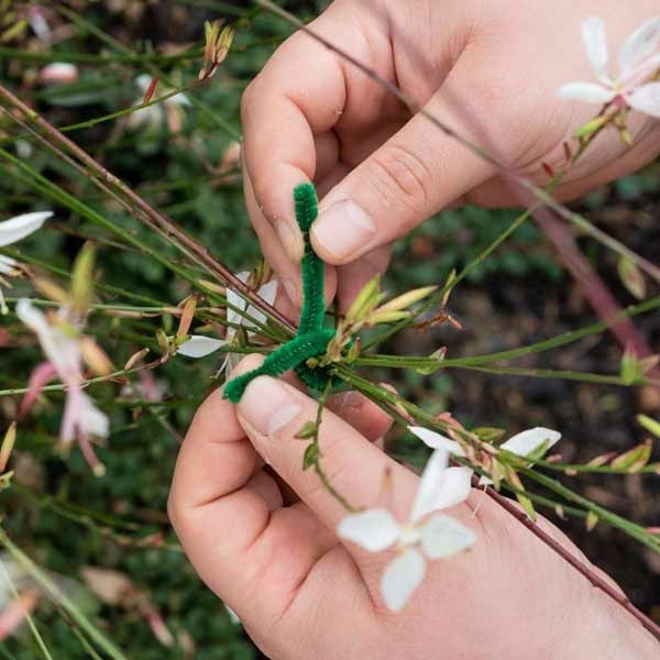 Gardman Soft Twist Plant Ties 15cm 50 Pack 3 Gardman Soft Twist Plant Ties 15cm 50 Pack - Image 3