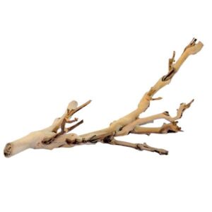 Exo Terra Forest Branch Small