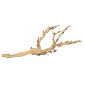 Exo Terra Forest Branch Medium
