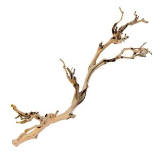 Exo Terra Forest Branch Large