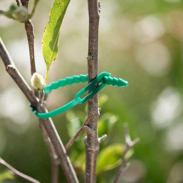 Gardman Adjustable Plant Ties 18cm 50 Pack 2 Gardman Adjustable Plant Ties 18cm 50 Pack - Image 2
