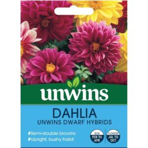 Unwins Dahlia Dwarf Hybrids Seeds