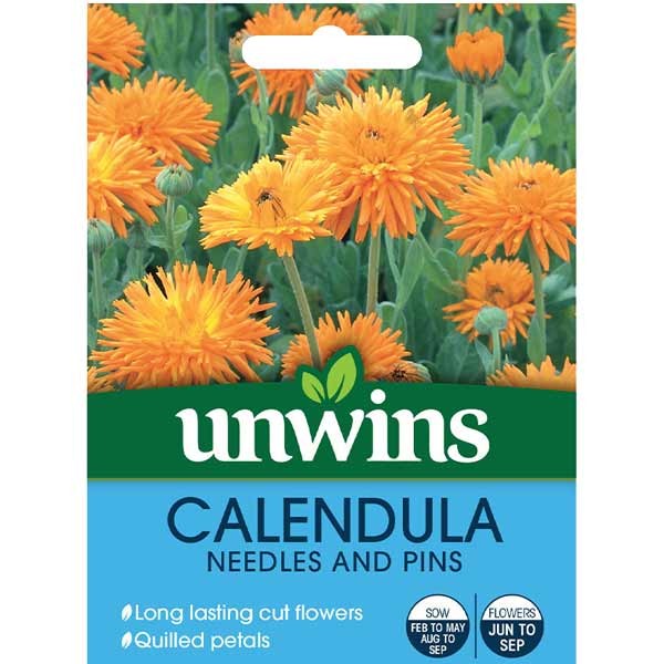 Unwins Calendula Needles And Pins Seeds 1 Unwins Calendula Needles And Pins Seeds