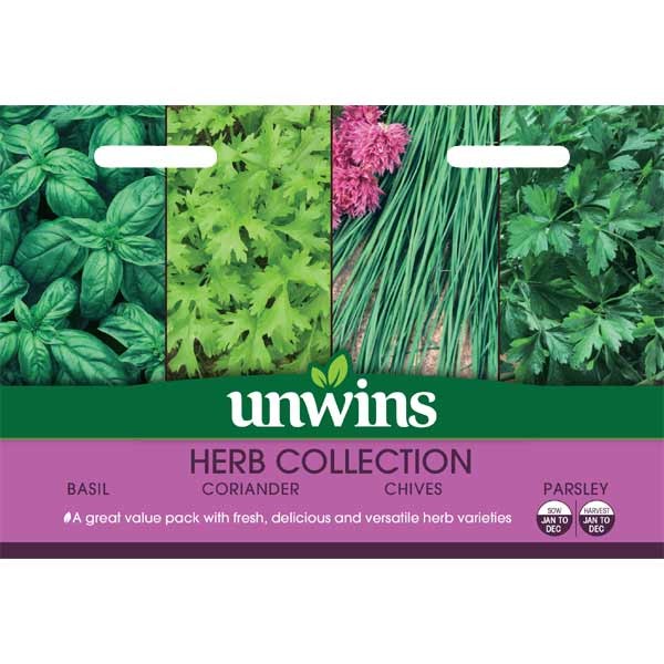 Unwins Herb Seed Collection 1 Unwins Herb Seed Collection