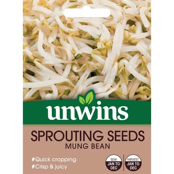 Unwins Sprouting Mung Bean Seeds 1 Unwins Sprouting Mung Bean Seeds