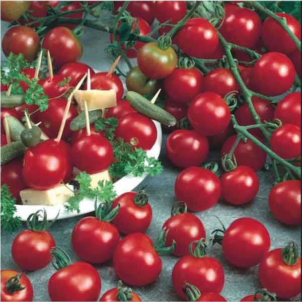 Unwins Tomato Cherry Sweet Million Seeds 2 Unwins Tomato Cherry Sweet Million Seeds - Image 2