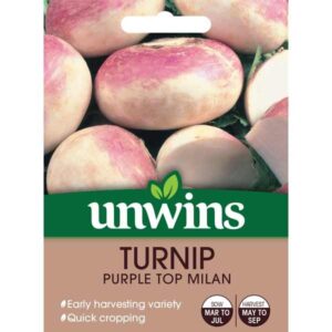 Unwins Turnip Purple Top Milan Seeds
