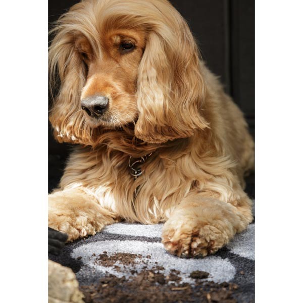 Pet Rebellion Boot Mate Black 67x100cm 4 Pet Rebellion Boot Mate Black 67x100cm - Image 4