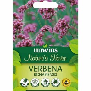 Unwins Nature's Haven Verbena Bonariensis Seeds
