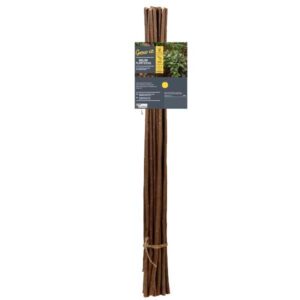 Grow it Willow Plant Sticks 90cm tural 20 Pack