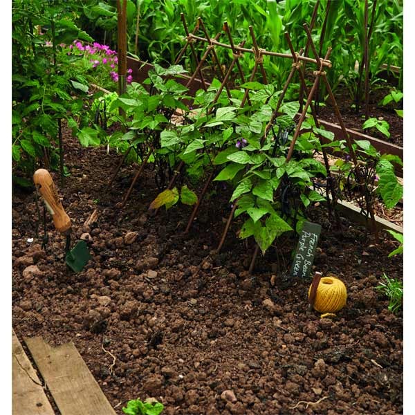 Grow it Willow Plant Sticks 90cm tural 20 Pack 2 Grow it Willow Plant Sticks 90cm tural 20 Pack - Image 2