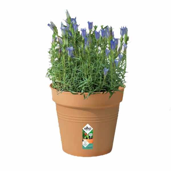 Elho Green Basics Growpot Mild Terra 17cm 2 Elho Green Basics Growpot Mild Terra 17cm - Image 2