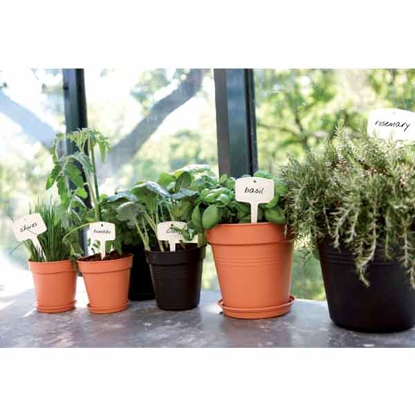 Elho Green Basics Growpot Mild Terra 17cm 3 Elho Green Basics Growpot Mild Terra 17cm - Image 3