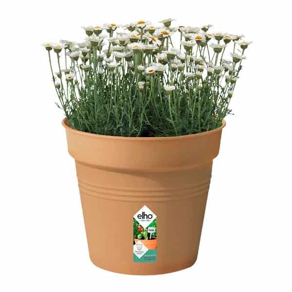 Elho Green Basics Growpot Mild Terra 21cm 2 Elho Green Basics Growpot Mild Terra 21cm - Image 2