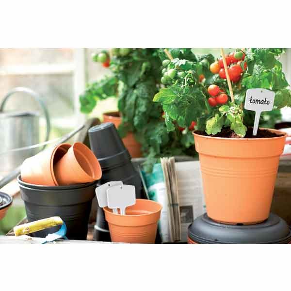 Elho Green Basics Growpot Mild Terra 21cm 4 Elho Green Basics Growpot Mild Terra 21cm - Image 4