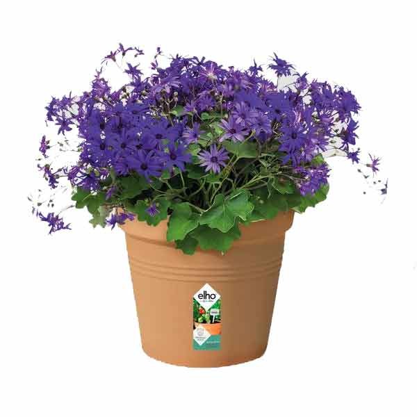 Elho Green Basics Growpot Mild Terra 27cm 2 Elho Green Basics Growpot Mild Terra 27cm - Image 2